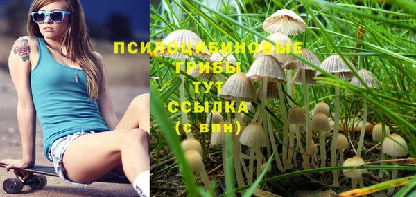 шишки Алексеевка