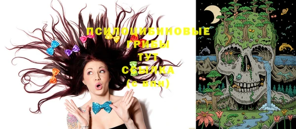 шишки Алексеевка