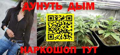 молекула духа Лесосибирск