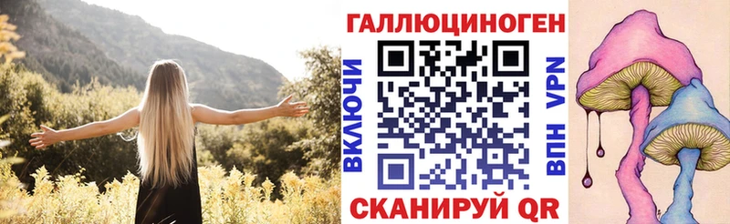 магазин продажи   Мирный  Псилоцибиновые грибы Psilocybe 