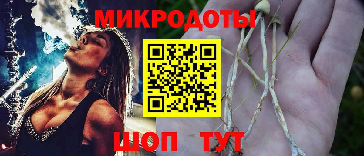 хочу   Галлюциногенные грибы Psilocybe  Вход с VPN  Мирный 
