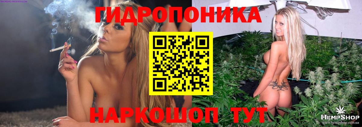 Шишки марихуана MAZAR  Шишки марихуана семена  Мирный  МАРИХУАНА план  Вход с VPN 